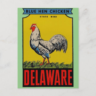 Carte postale de l'oiseau de l'État du Delaware