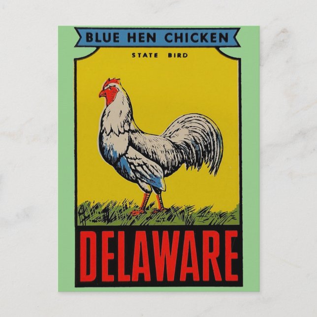 Carte postale de l'oiseau de l'État du Delaware (Devant)