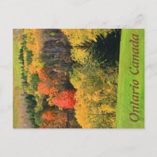 Carte postale de l'Ontario Canada