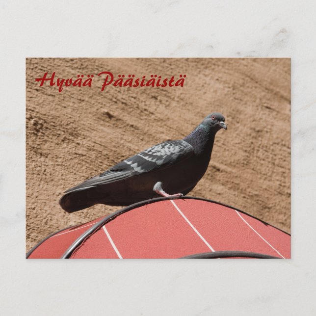 Carte postale de Lookout Happy Pâques (Devant)