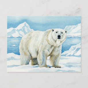 Carte postale de l'ours blanc