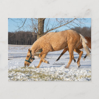 Carte postale de Lugos à retirer