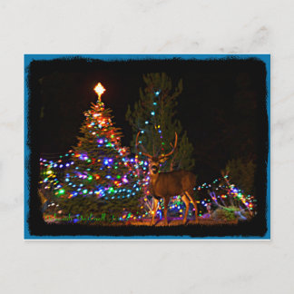 Carte postale de lumières de renne et de Noël