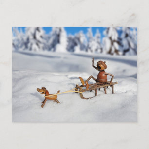Carte postale de lutin gland faisant de la luge av