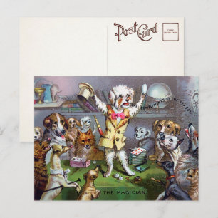 Carte postale de magicien avec chien victorien