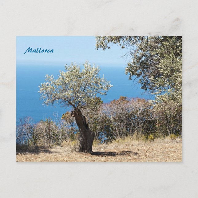 Carte postale de Majorque (Devant)