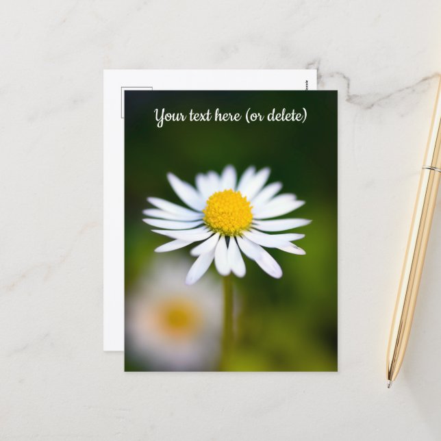 Carte postale de marguerite (Devant/Arrière en situation)