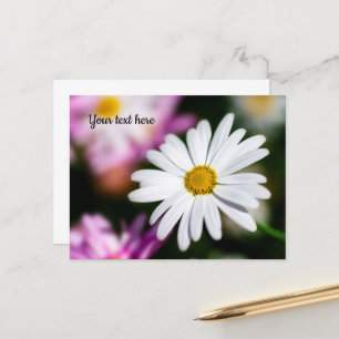 Carte postale de Marguerite Blanche Simple