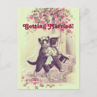 Carte postale de mariage pour chats à sauvegarder 