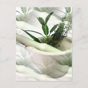 Carte postale de médecine alternative