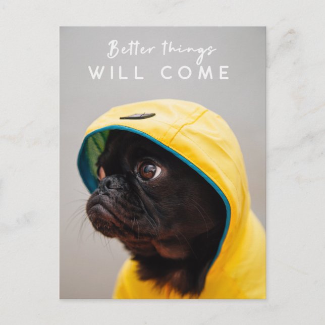 Carte Postale De meilleures choses viendront | Carlin Chien Cute (Devant)