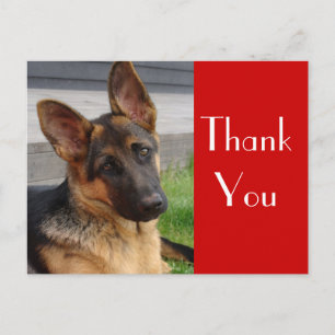 Carte postale de Merci de chien chiot allemand
