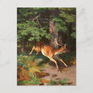 Carte Postale De Mignonne Cerf Rouge Dans La Forêt