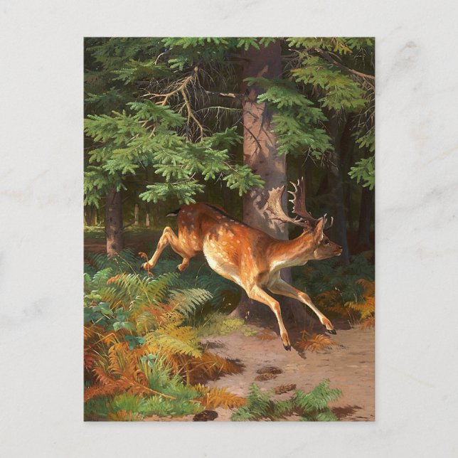 Carte Postale De Mignonne Cerf Rouge Dans La Forêt (Devant)