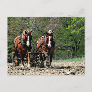 Carte postale de mise à jour