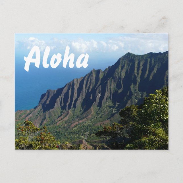 Carte postale de Na Pali Coast, Hawaii Aloha (Devant)
