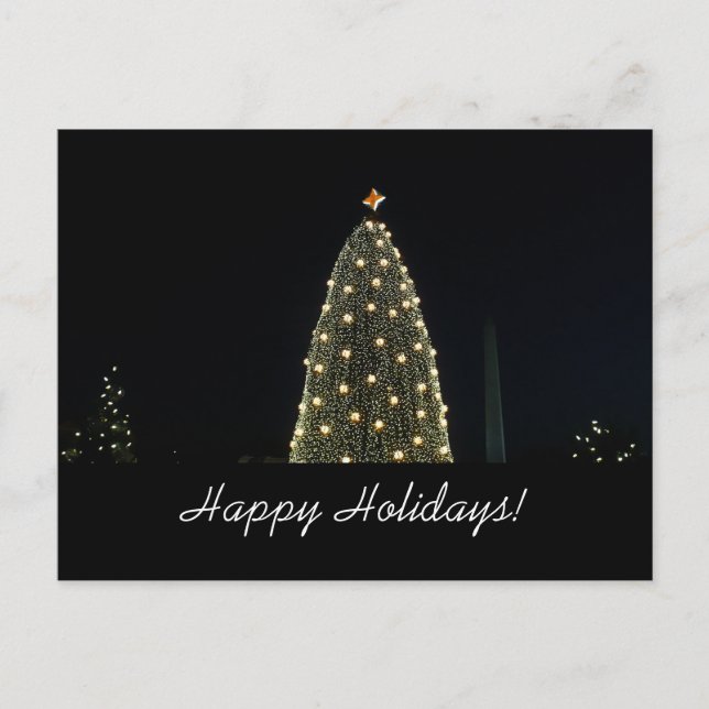 Carte postale de National Tree and Washington Monu (Devant)