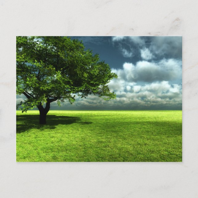 Carte postale de nature (Devant)