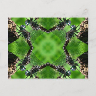 Carte postale de nature d'art de kaléidoscope de