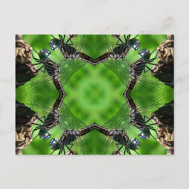 Carte postale de nature d'art de kaléidoscope de (Devant)