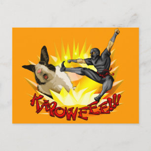 Carte postale de Ninja contre Lapin(?!?)