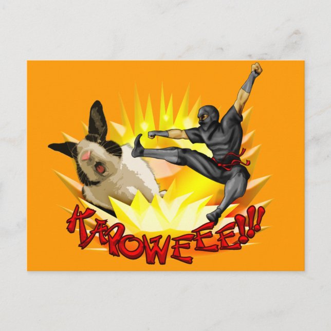 Carte postale de Ninja contre Lapin(?!?) (Devant)