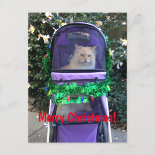 Carte postale de Noël