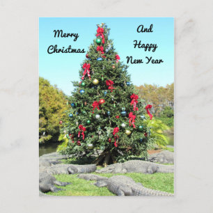 Carte postale de Noël Alligator