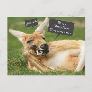 Carte postale de Noël australienne ; kangourou