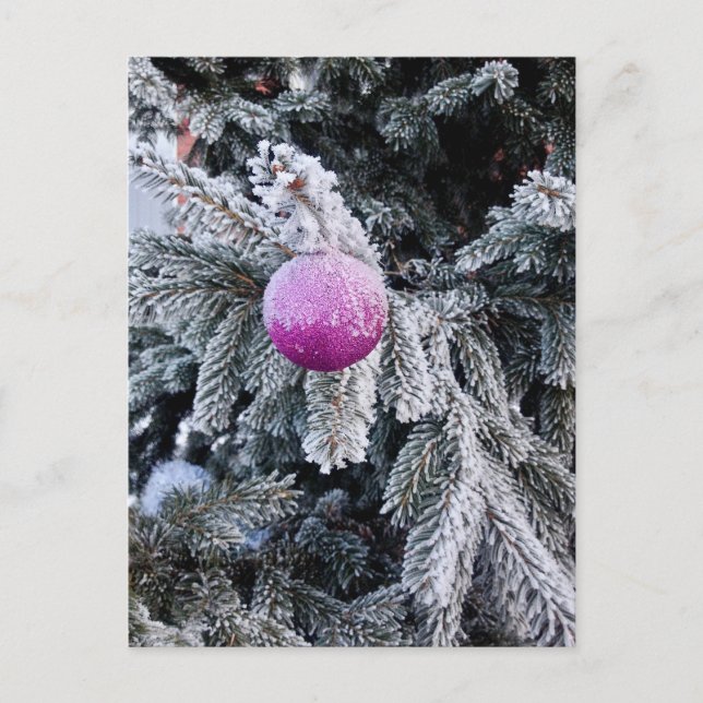 Carte postale de Noël avec arbre de Noël et jouet (Devant)