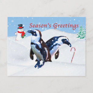 Carte postale de Noël avec des pingouins en neige