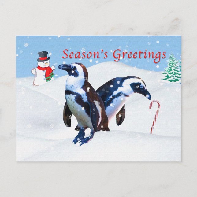 Carte postale de Noël avec des pingouins en neige (Devant)