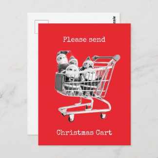 Carte postale de Noël avec le Père Noël dans un pa