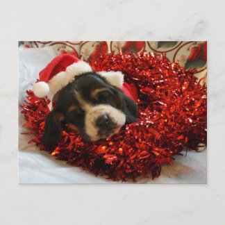 Carte postale de Noël Basset Hound