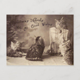 Carte postale de Noël de chat vintage