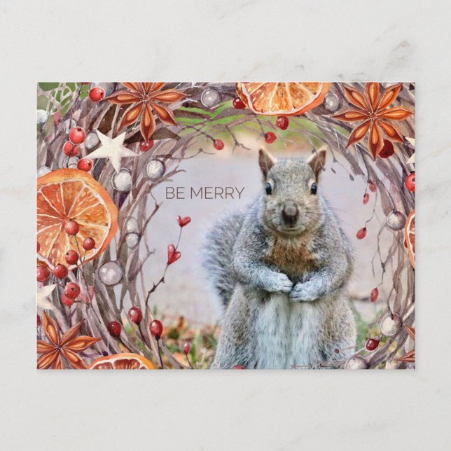 Carte postale de Noël de la générosité de la natur (Devant)