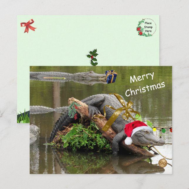 Carte postale de Noël de l'Alligator américain (Devant / Derrière)