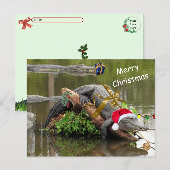 Carte postale de Noël de l'Alligator américain (Devant / Derrière)