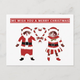 Carte postale de Noël deux chats