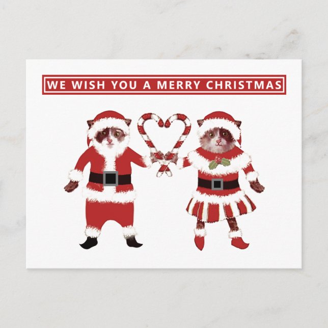 Carte postale de Noël deux chats (Devant)