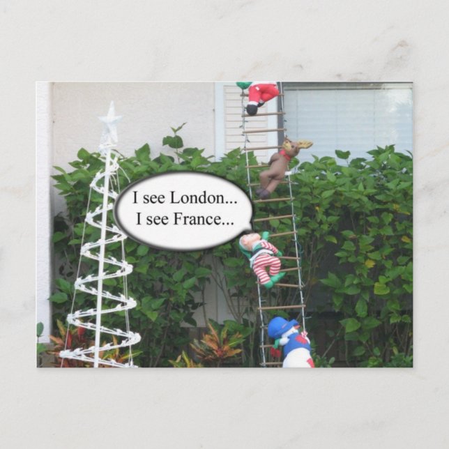 Carte postale de Noël Elf (Devant)