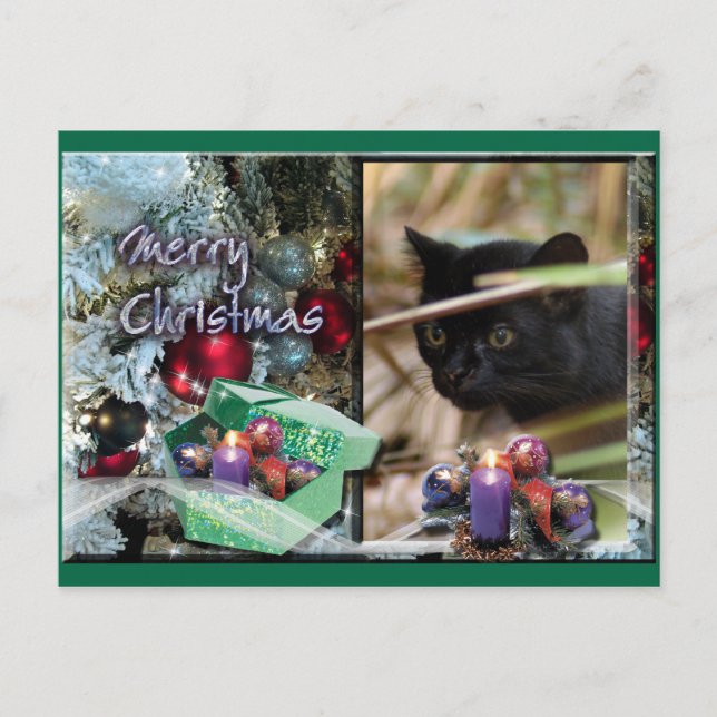 Carte postale de Noël Geoffroy Cat (Devant)