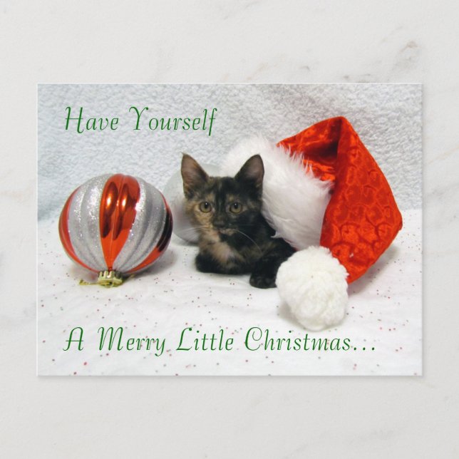 Carte postale de Noël Holley - Chat / Kitten (Devant)