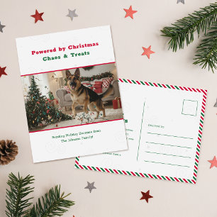 Carte postale de Noël humoristique et drôle de chi
