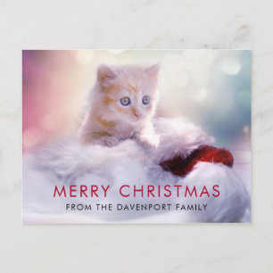 Carte postale de Noël Kitten