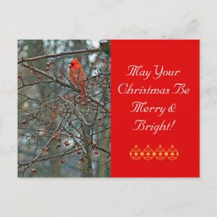 Carte postale de Noël personnalisable /Cardinal ro