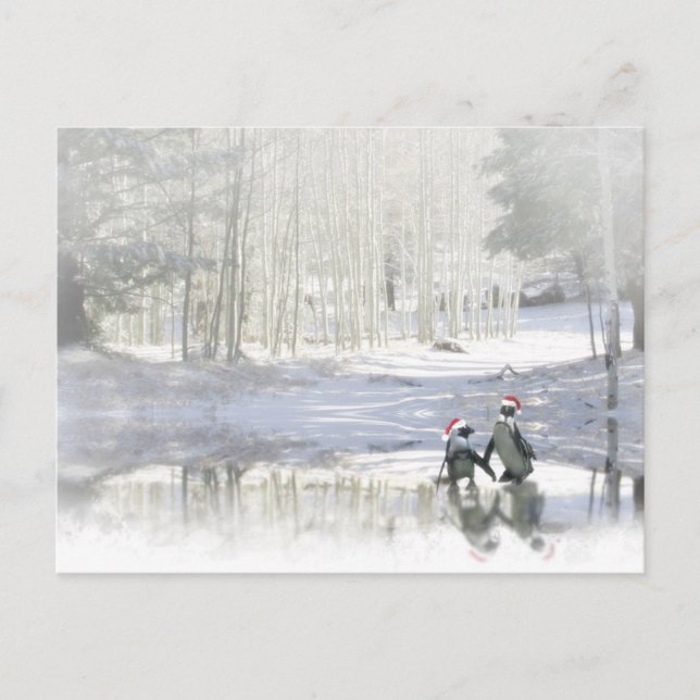 Carte postale de Noël Pingouin mignon (Devant)