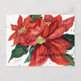Carte postale de Noël Poinsettia