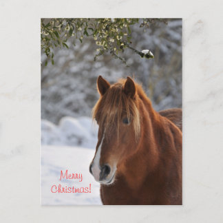 Carte postale de Noël pour le cheval et le mistlet