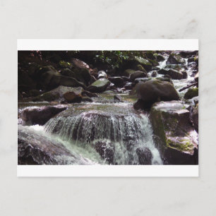 Carte postale de Noël sans glyphosate dans le Tenn